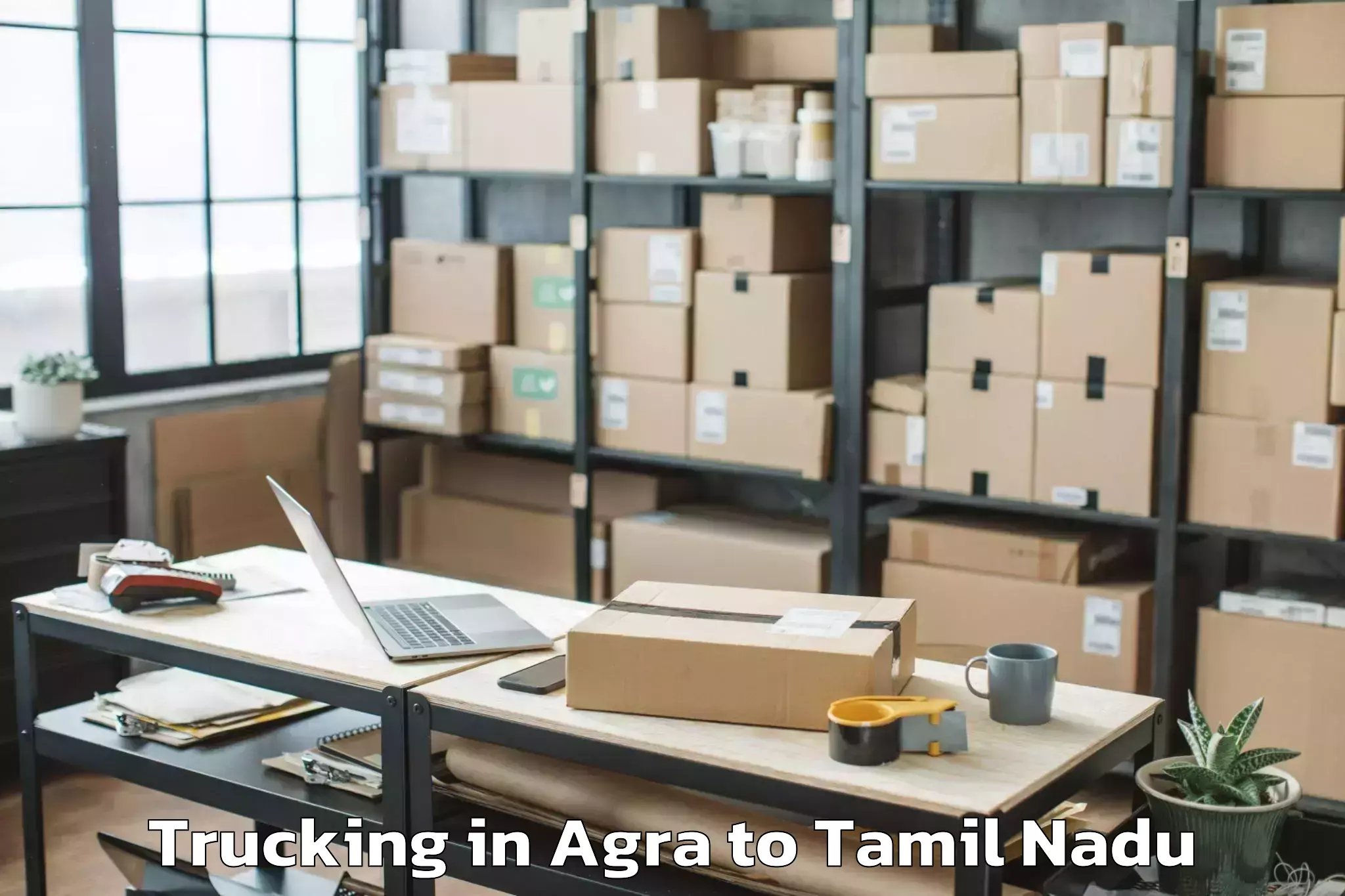 Top Agra to Injambakkam Trucking Available